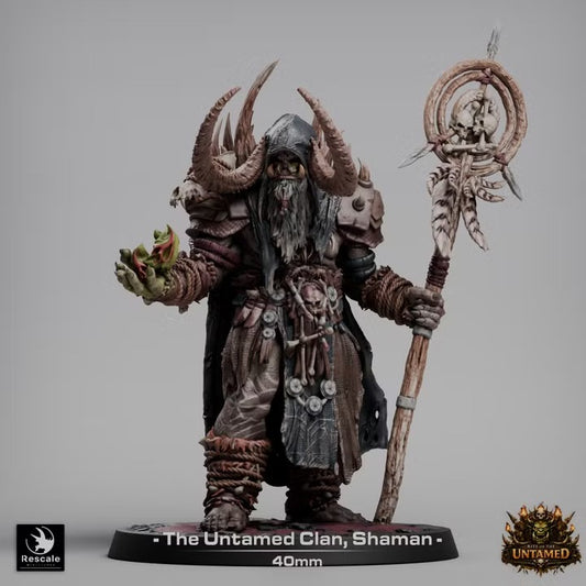 Chaman orc du clan indompté — rendu du créateur