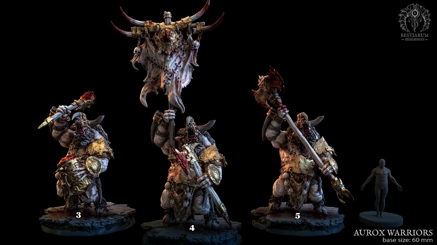 Aurox Warriors