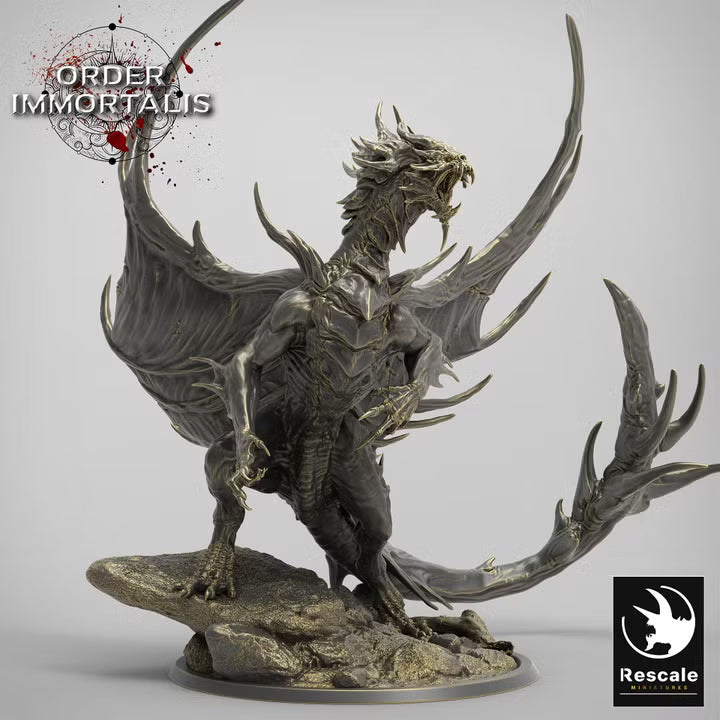 Dragon de sang adulte