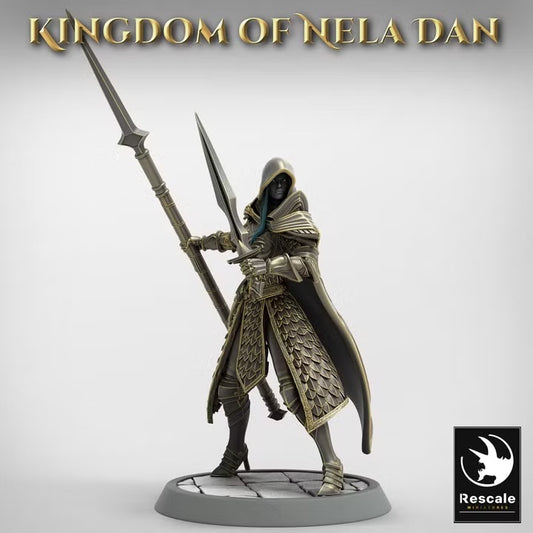 Infanterie des elfes nobles — visuel original Rescale Miniatures