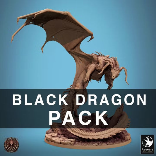 Dragons noirs — sculpture 2024 — visuel original Rescale Miniatures