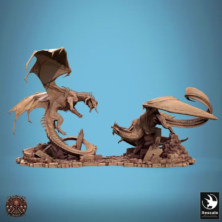 Duel de dragons — noir et argent