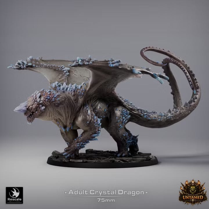 Dragon de cristal adulte