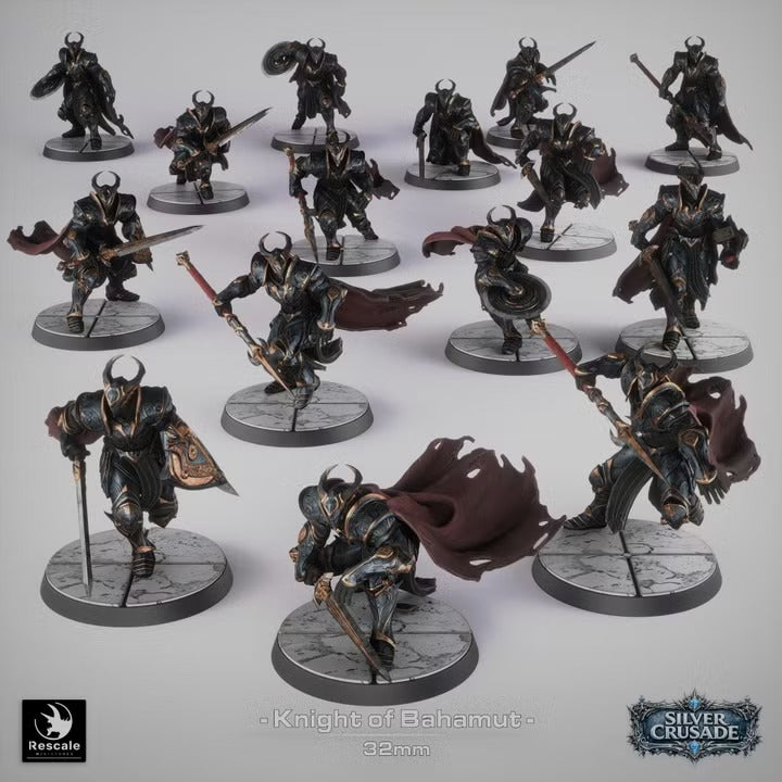 Chevaliers de Bahamut
