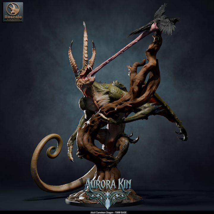 Dragon caméléon adulte