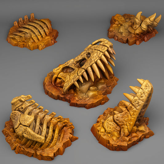 Ossements de T-Rex