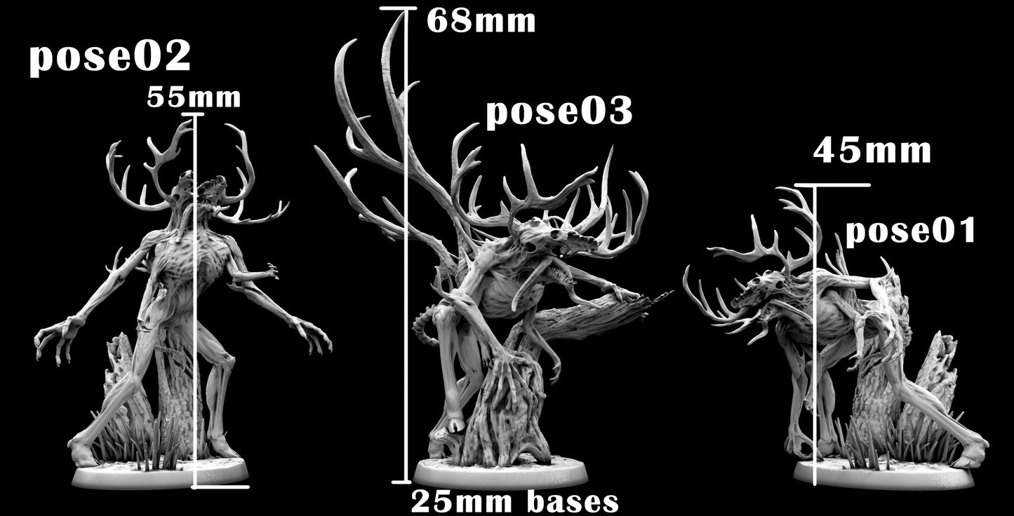 Horreur des bois